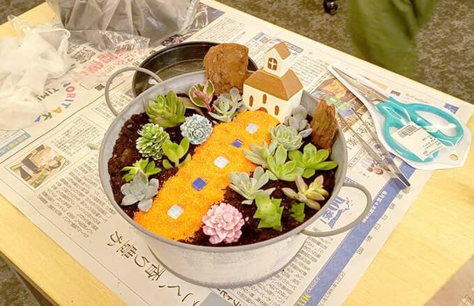 多肉植物寄せ植え