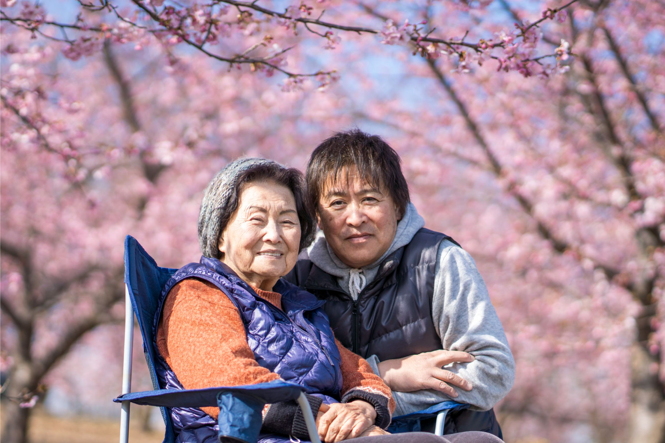 母とお花見