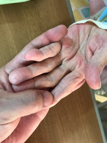 102歳、祖母の手