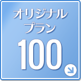 オリジナルプラン100