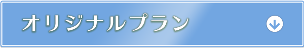 オリジナルプラン