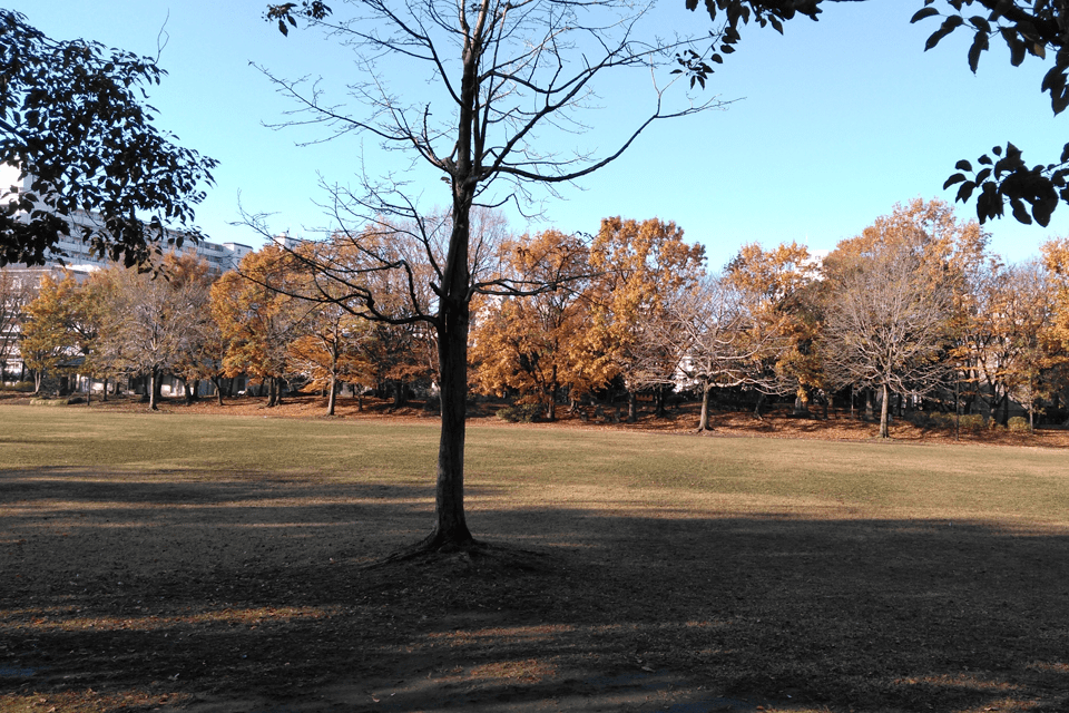 隣接する平和の森公園